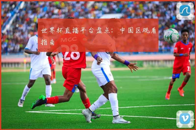 世界杯直播平台盘点：中国区观看指南